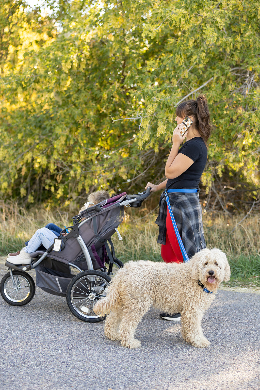 Pawform Hands-Free Bungee Dog Leash