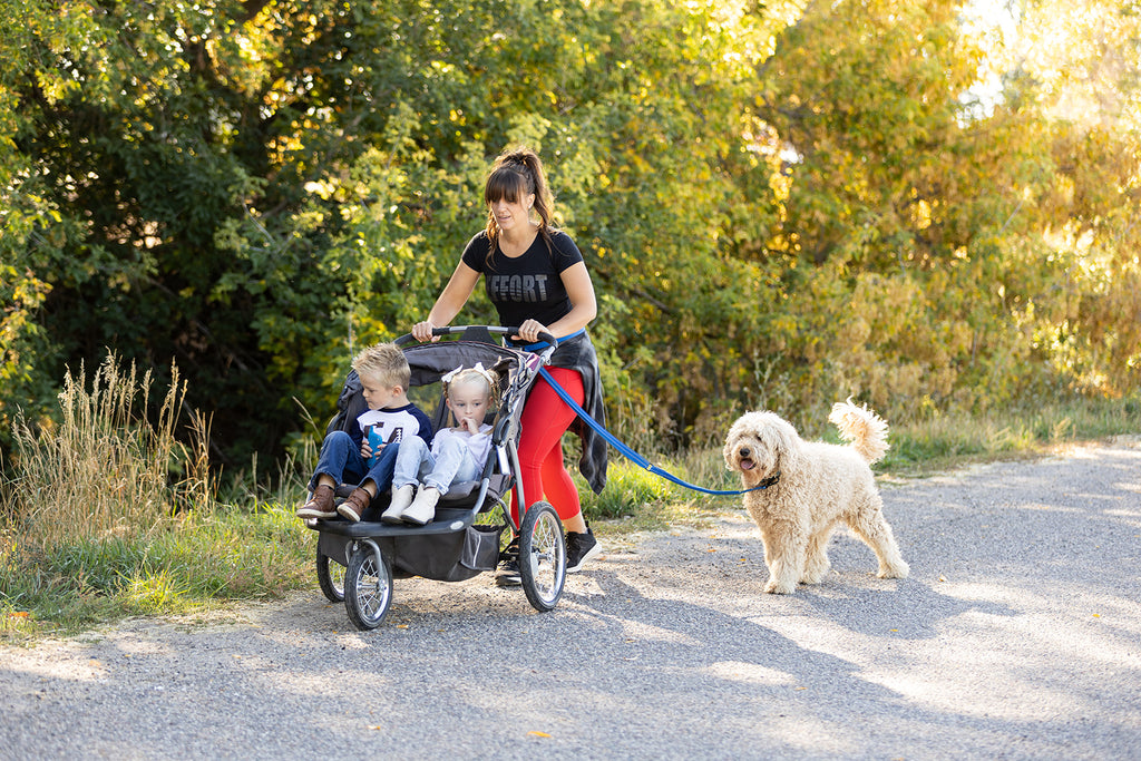 Pawform Hands-Free Bungee Dog Leash