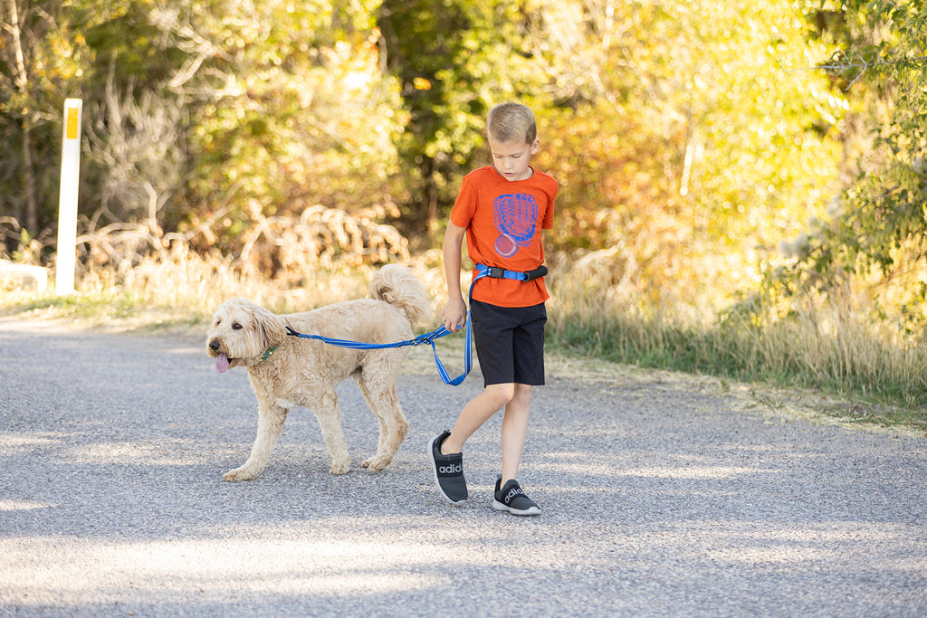 Pawform Hands-Free Bungee Dog Leash