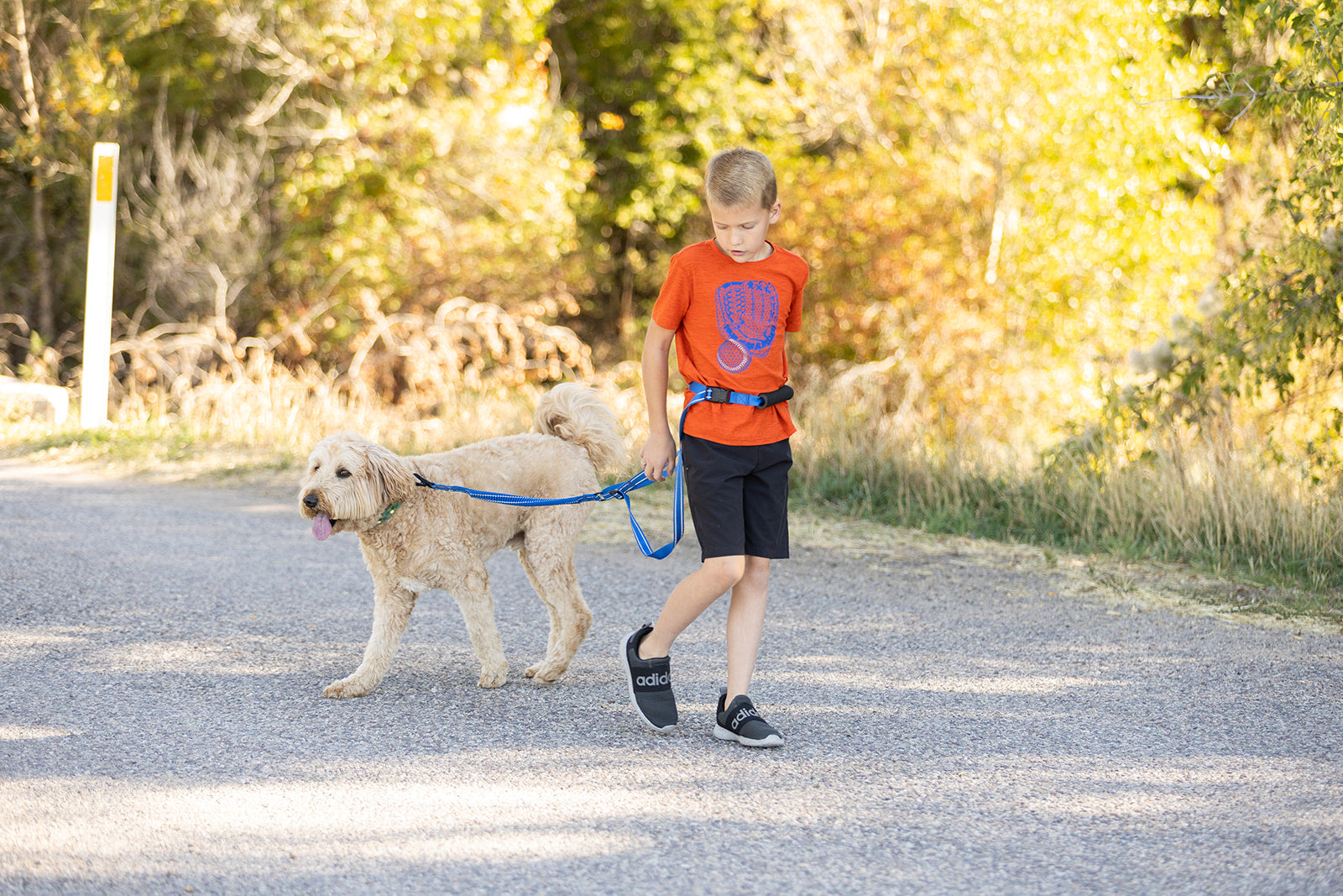 Pawform Hands-Free Bungee Dog Leash