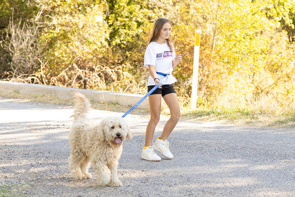 Pawform Hands-Free Bungee Dog Leash