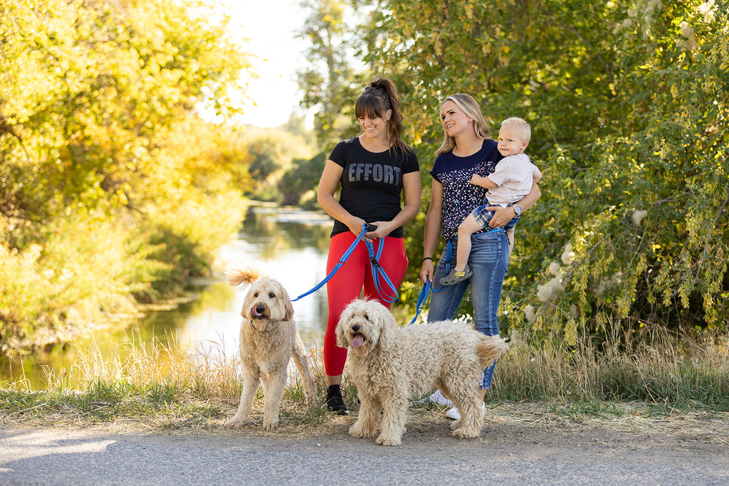 Pawform Hands-Free Bungee Dog Leash