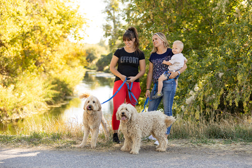 Pawform Hands-Free Bungee Dog Leash