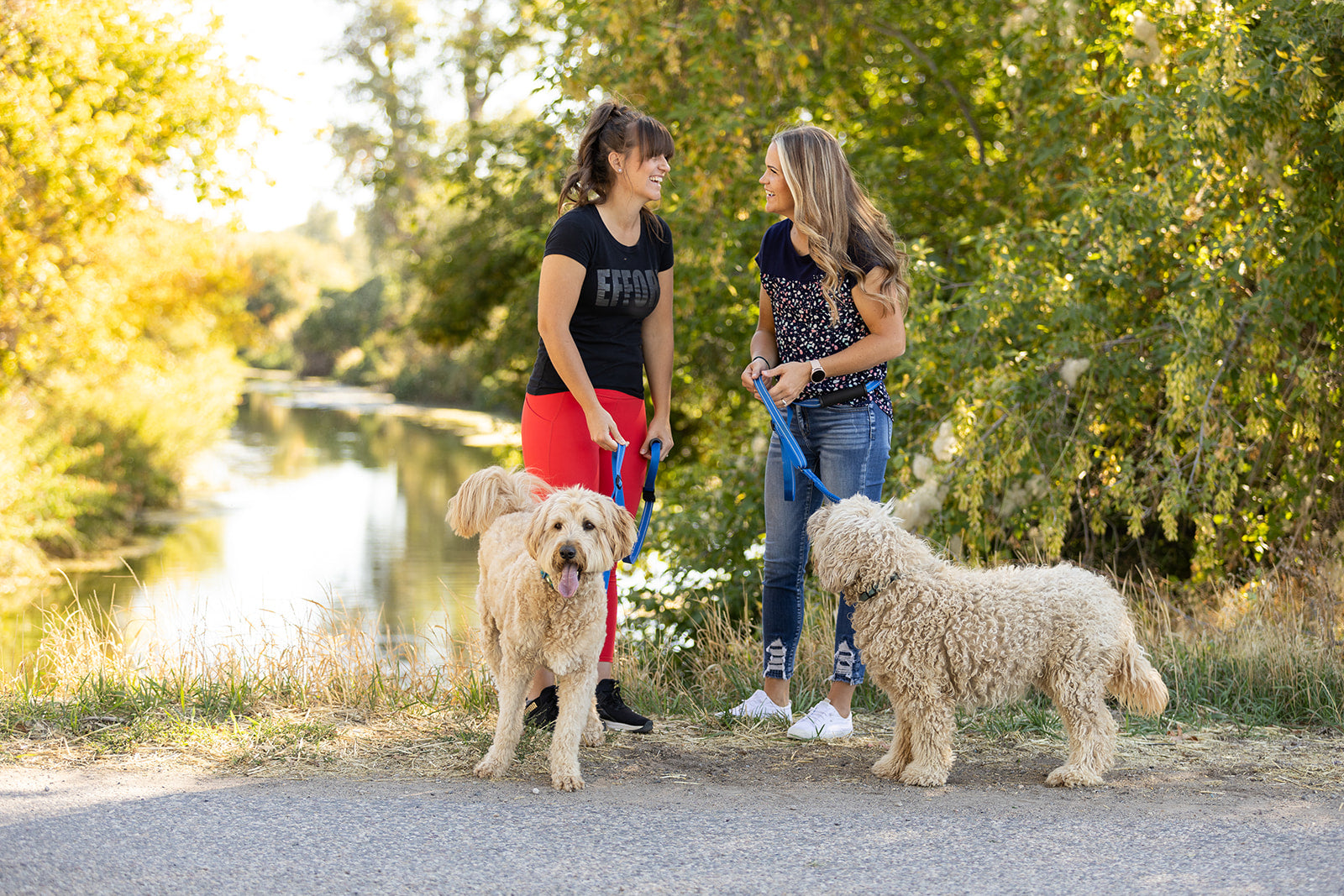 Pawform Hands-Free Bungee Dog Leash