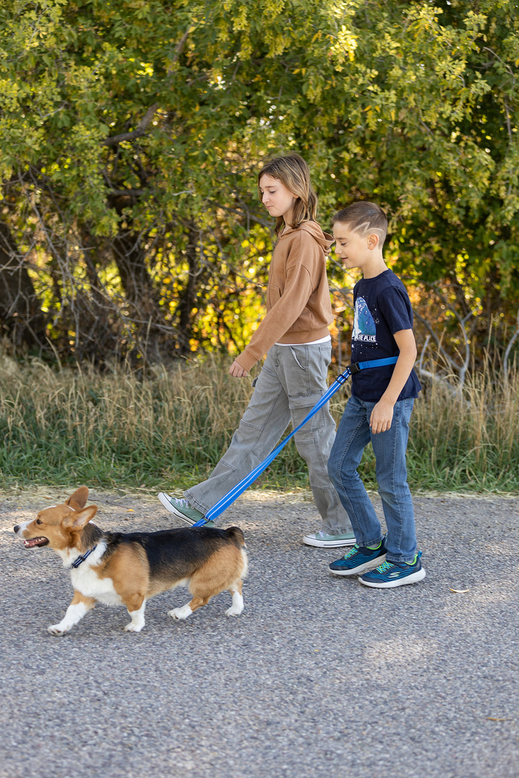 Pawform Hands-Free Bungee Dog Leash