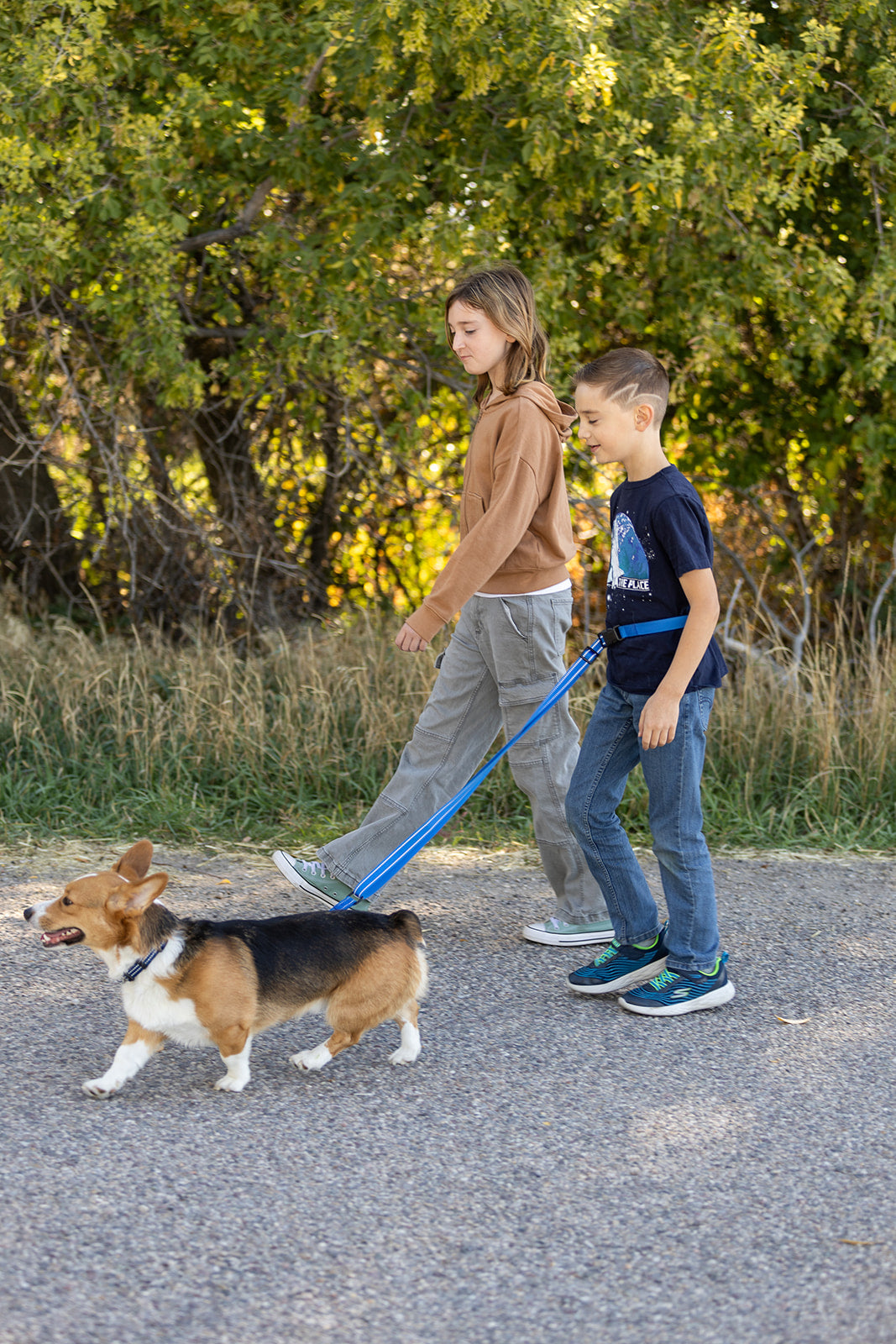 Pawform Hands-Free Bungee Dog Leash